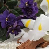 Аромамасло для свечи и мыла Белый ирис и Сандал(CandleScience White Orris and Sandalwood) 2199423580 фото
