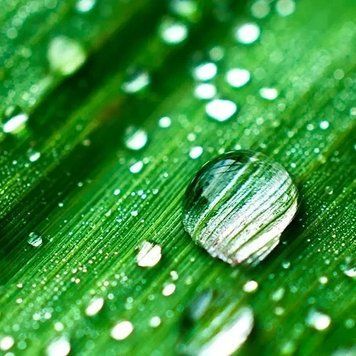 Аромат для свечи и мыла Дождевая вода (CandleScience Rain Water) 1765584569 фото
