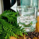 Аромат для свічки та мила Сухий Джин і Кипарис (CandleScience Dry Gin and Cypress) 1939116257 фото