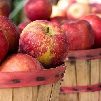 Аромат для свечи и мыла Яблочный урожай (CandleScience Apple Harvest) 1898583288 фото
