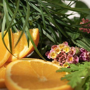 Аромат для свічки та мила Лемонграс і вербена цитронела (CandleScience Lemongrass and Verbena Citronella) 1872350438 фото