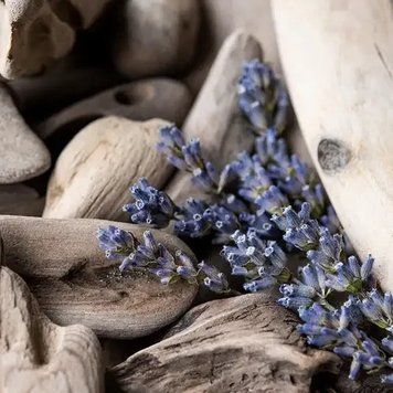 Аромамасло для свечи и мыла Лавандовые коряги (CandleScience Lavender Driftwood) 2152900265 фото