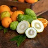 Аромат для свечи и мыла Цитрон и Мандарин (CandleScience Citron and Mandarin) 10 грамів 1725079148 фото