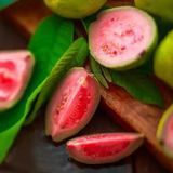 Аромат для свечи и мыла Клубничная гуава (CandleScience Strawberry Guava) 10 грамм 1751695479 фото