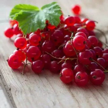 Аромат для свечи и мыла Красная смородина (CandleScience Red Currant) 1789368124 фото