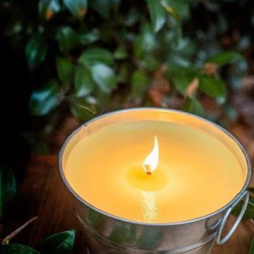 Аромат для свечи и мыла Цитронелла (CandleScience Citronella) 1755929741 фото