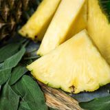 Аромат для свечи и мыла Ананасовый шалфей (CandleScience Pineapple Sage) 1939116227 фото