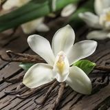 Аромаолія Ванільна орхідея (CandleScience Vanilla Orchid) 2087805568 фото