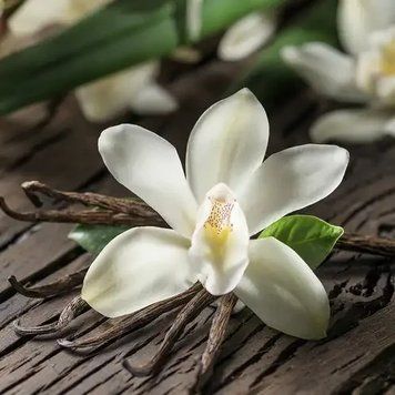 Аромамасло для свечи и мыла Ванильная орхидея (CandleScience Vanilla Orchid) 2087805568 фото