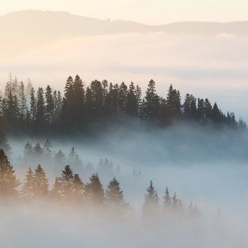 Аромат для свечи и мыла Горный туман (CandleScience Mountain Mist) 1756161309 фото
