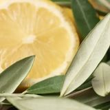Аромаолія Оливковий лист і цитрон (CandleScience Olive Leaf and Citron) 2087805574 фото