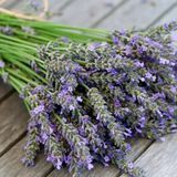 Аромат для свічки та мила Лаванда (CandleScience Lavender) 1755930619 фото