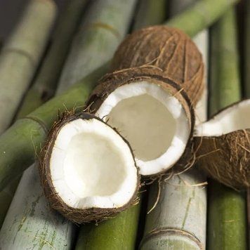 Аромат для свечи и мыла Бамбук и кокос (CandleScience Bamboo and Coconut) 1765592964 фото
