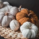 Аромаолія Кашемірова гарбуз (CandleScience Cashmere Pumpkin) 2627292356 фото