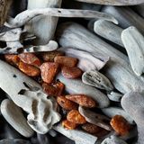 Аромат для свечи и мыла Янтарь и морская древесина (CandleScience Amber and Driftwood) 10 грамів 1725079154 фото